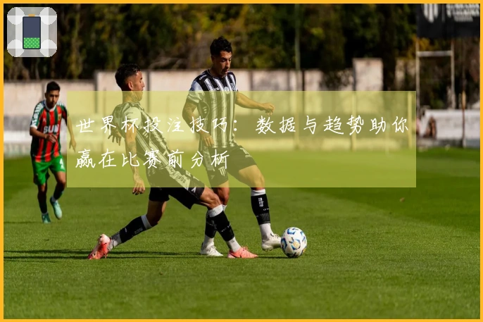 世界杯投注技巧：数据与趋势助你赢在比赛前分析