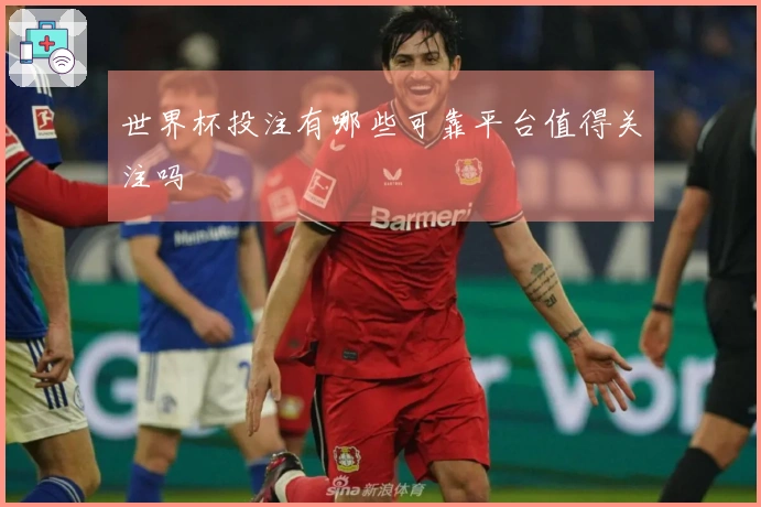 世界杯投注有哪些可靠平台值得关注吗