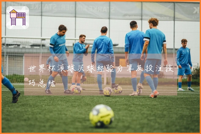 世界杯滚球买球经验分享及投注技巧总结