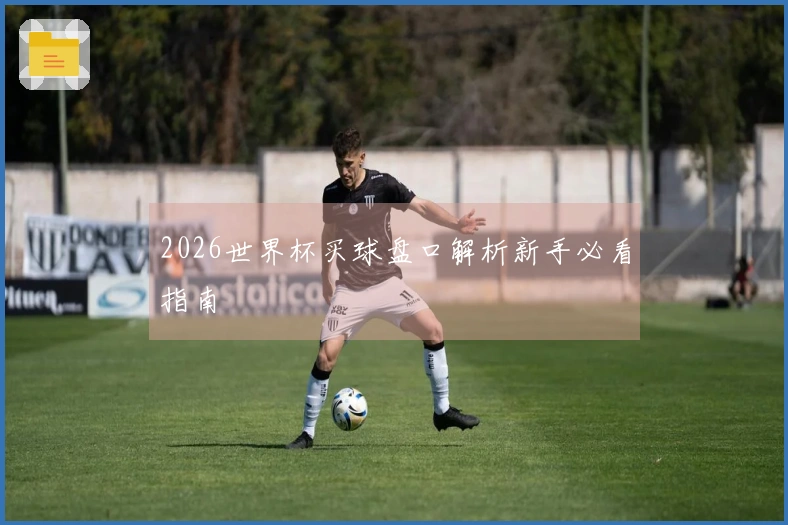 2026世界杯买球盘口解析新手必看指南