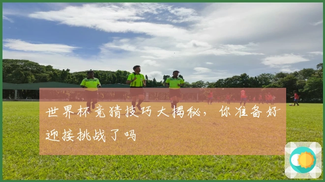 世界杯竞猜技巧大揭秘，你准备好迎接挑战了吗