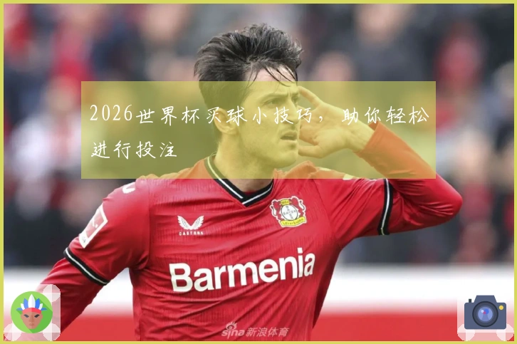 2026世界杯买球小技巧，助你轻松进行投注