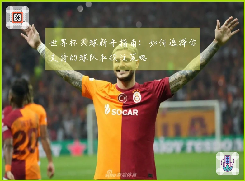 世界杯买球新手指南：如何选择你支持的球队和投注策略