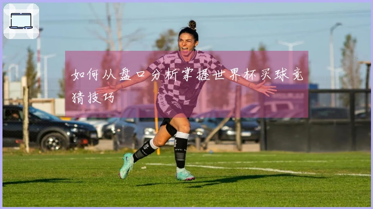 如何从盘口分析掌握世界杯买球竞猜技巧