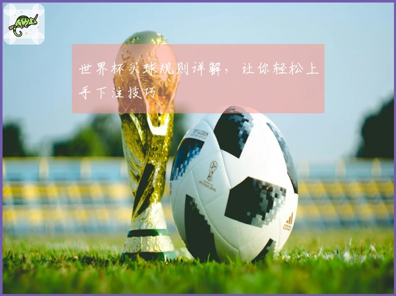 世界杯买球规则详解，让你轻松上手下注技巧
