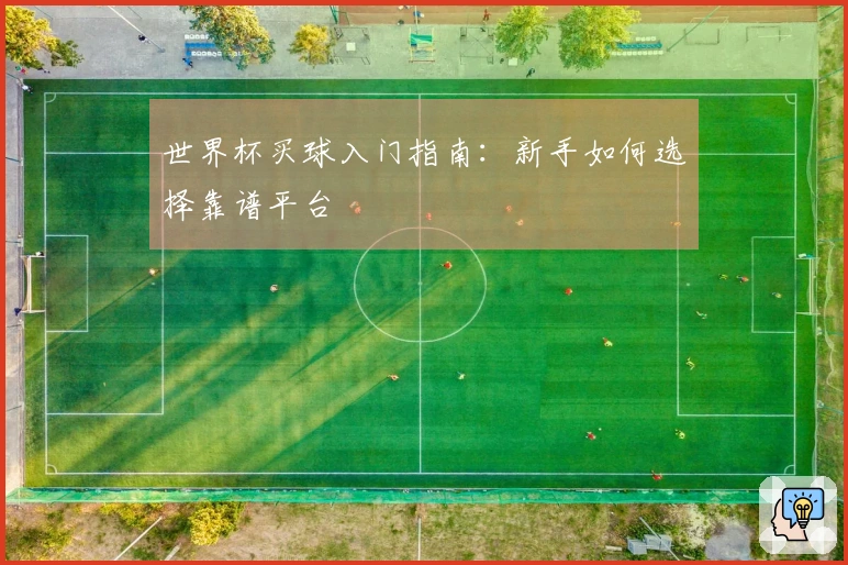 世界杯买球入门指南：新手如何选择靠谱平台