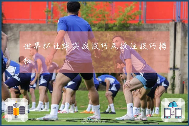 世界杯让球实战技巧及投注技巧揭秘