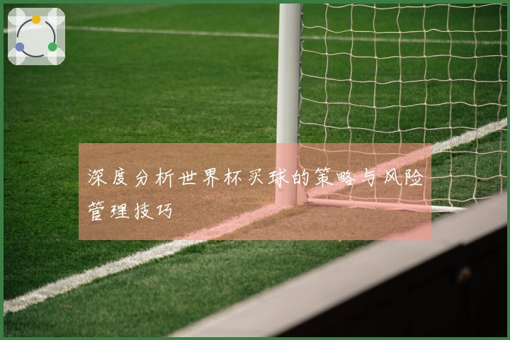 深度分析世界杯买球的策略与风险管理技巧