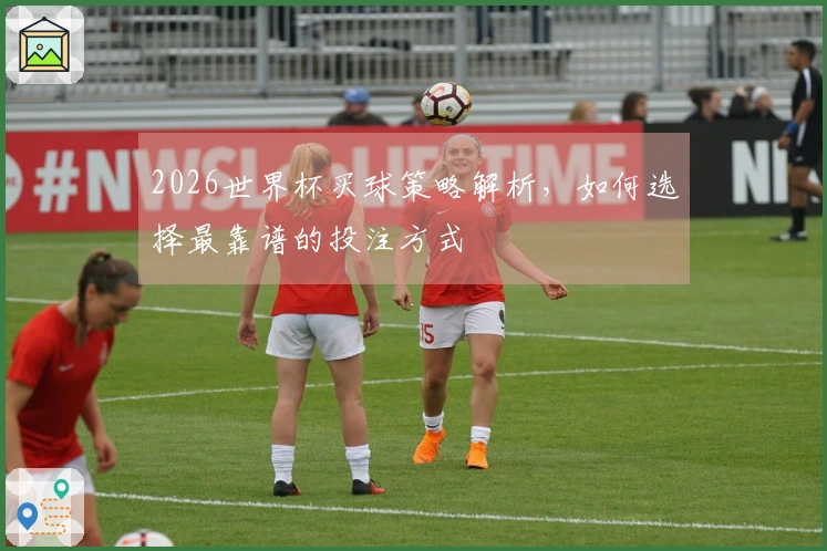 2026世界杯买球策略解析，如何选择最靠谱的投注方式