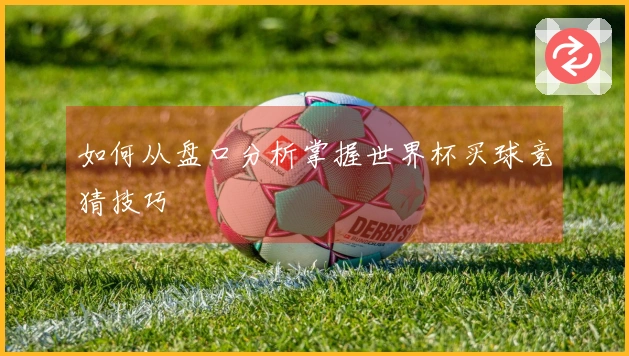 如何从盘口分析掌握世界杯买球竞猜技巧