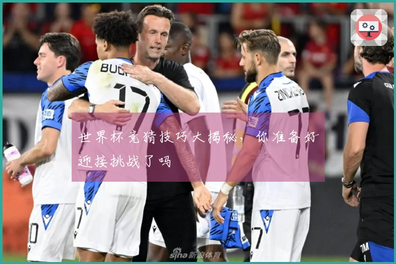世界杯竞猜技巧大揭秘，你准备好迎接挑战了吗