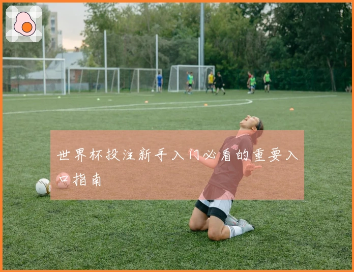 世界杯投注新手入门必看的重要入口指南