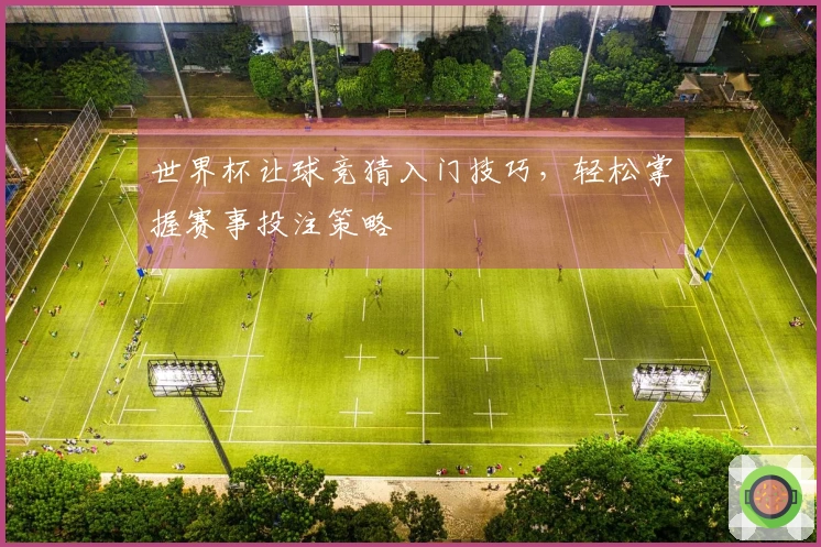 世界杯让球竞猜入门技巧，轻松掌握赛事投注策略