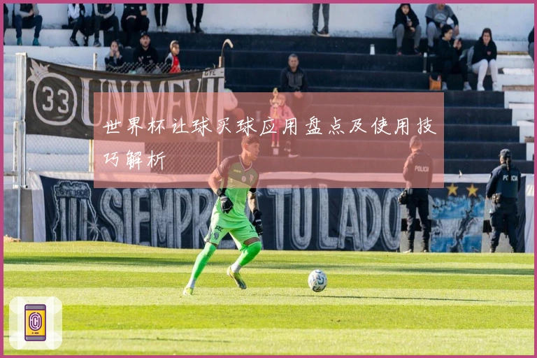 世界杯让球买球应用盘点及使用技巧解析