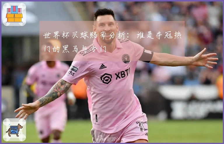 世界杯买球赔率分析：谁是夺冠热门的黑马与冷门