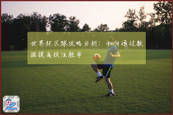 世界杯买球攻略分析：如何通过数据提高投注胜率