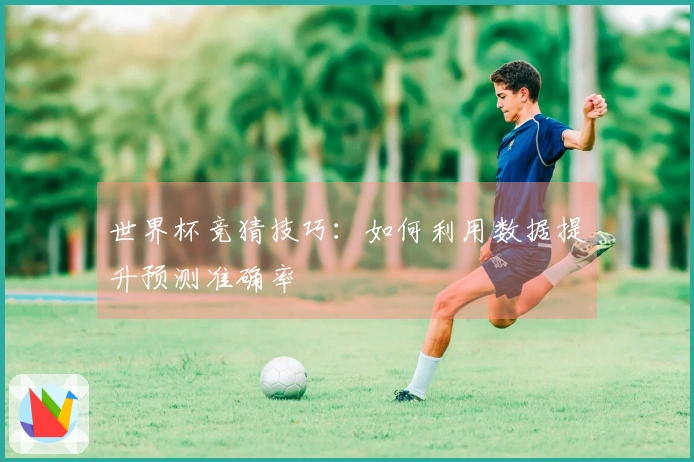 世界杯竞猜技巧：如何利用数据提升预测准确率